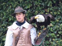 Weisskopfseeadler 138